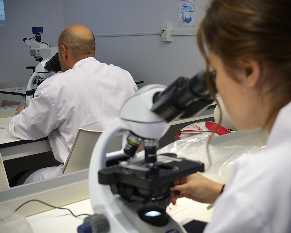 Una estudiante de la Facultad de Medicina utiliza un microscopio durante una sesión de prácticas