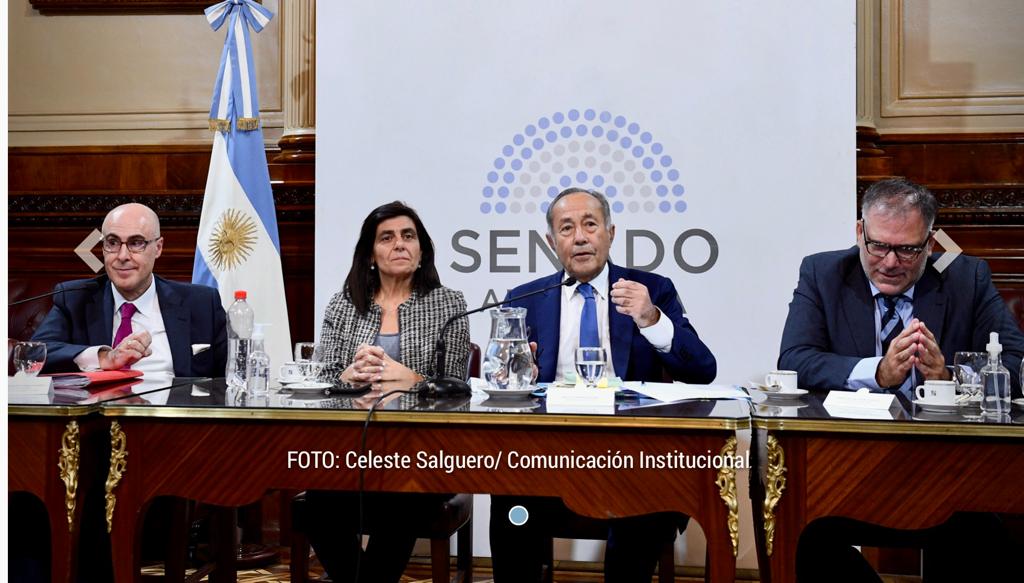 Imagen de ponentes en el Senado de Argentina. 