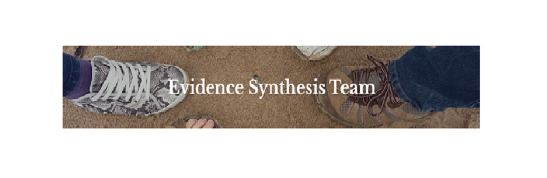 Evidence Synthesis