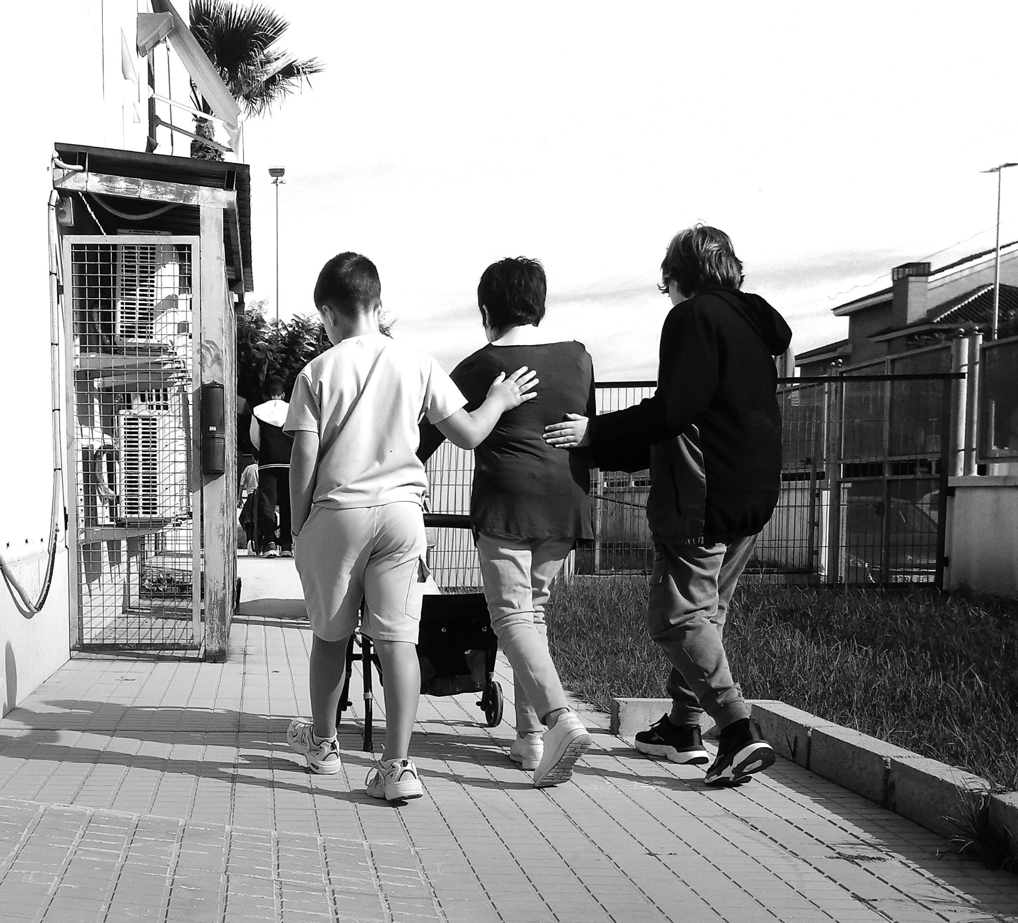 transportistas de personas mayores transportistas de personas mayores